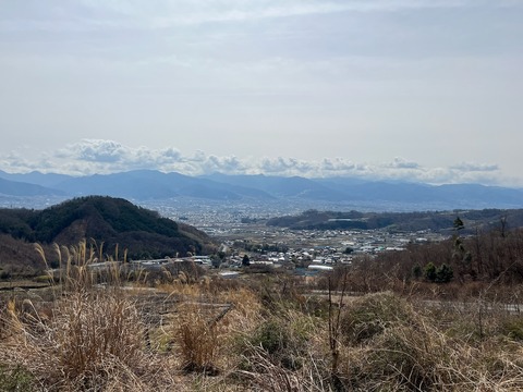 IMG_7772