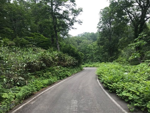 奥志賀スーパー林道 延々と70km続くワインディングロード