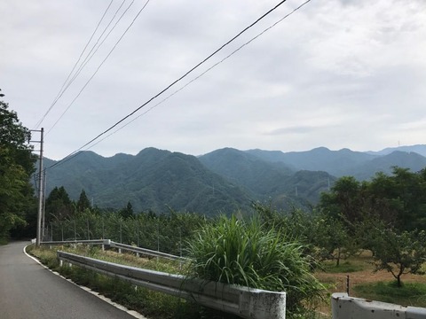 県道212号の笹子峠を甲斐大和へ下る