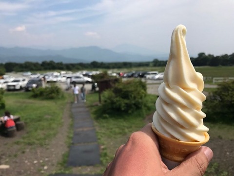 ジャージーハットのソフトクリームだよ!