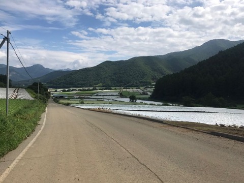 川上村では収穫シーズン真っ盛り