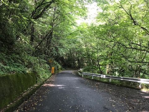 湿っていると見えづらい上に滑りやすいので注意して進む