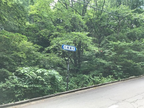 妙義荒船林道の迂回路は「八風通り」