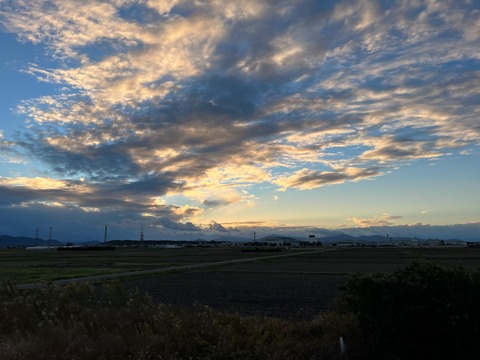 IMG_2278