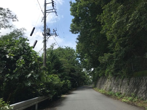 定峰峠は路面も綺麗で走りやすい