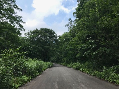 奥志賀スーパー林道 延々と70km続くワインディングロード
