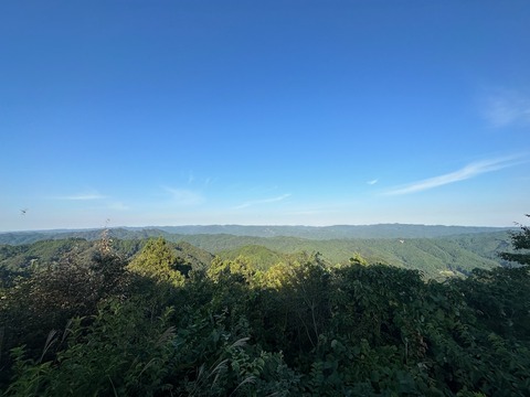 IMG_0547