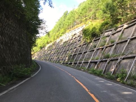 早朝の気持ちいいビーナスライン