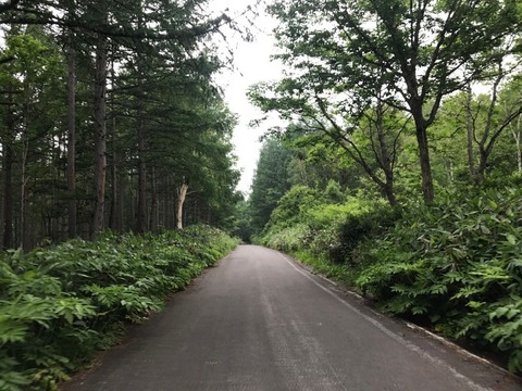 奥志賀スーパー林道 延々と70km続くワインディングロード