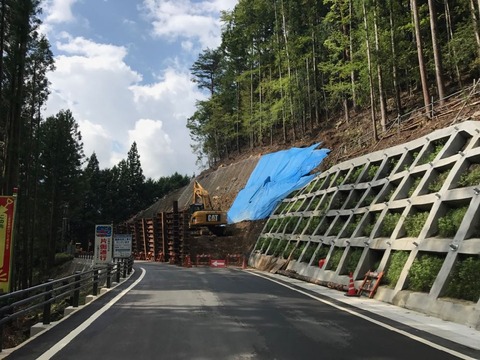 年中工事してないと通行状態を維持できないんだろうなあ