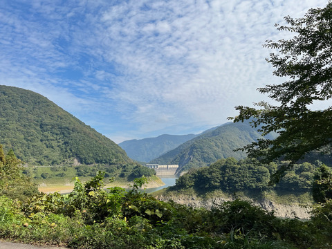 IMG_8650