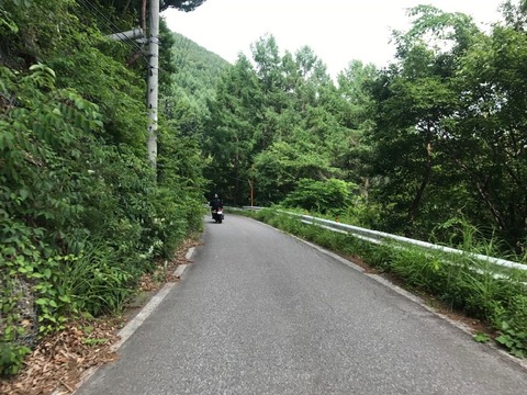 県道93号は田口峠へ向かって登る。険しい道！