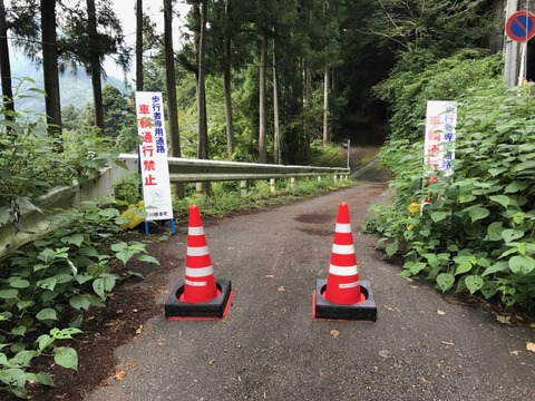 レインボーブリッジ展望所への小道