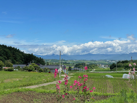 初夏の東信地方峠回り