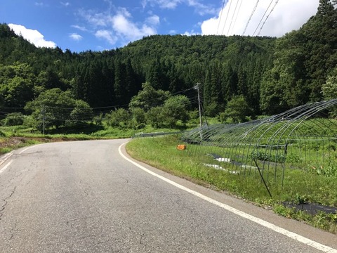県道90号に寄り道