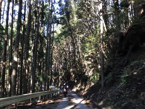 轍の幅しかアスファルトがなく、ほとんど綱渡りみたいな路面