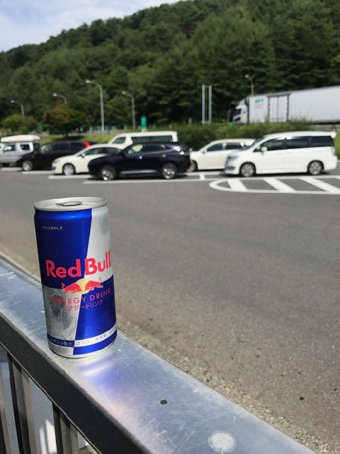 眠気覚ましに辰野PAに寄り道してRedBull