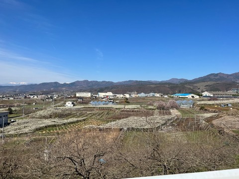 IMG_8471