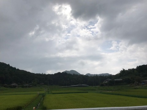 相変わらずどっちつかずの天候