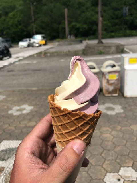 道の駅たじまでブルーベリーソフト!