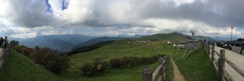 IMG_4251