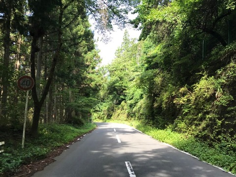 土坂峠は高低差のそこそこある緑の深い道