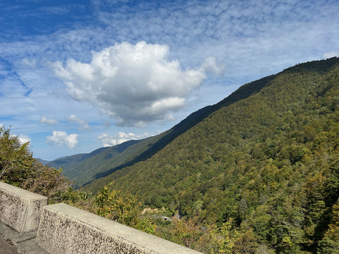 IMG_8604
