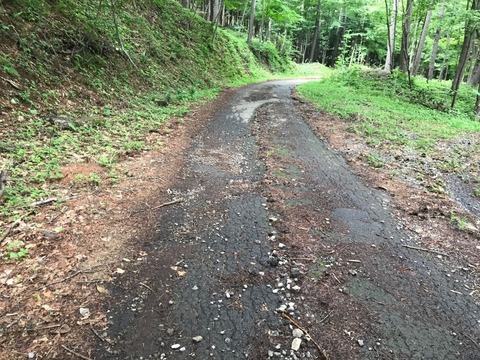県道181号はオンロードバイクにはオススメできない
