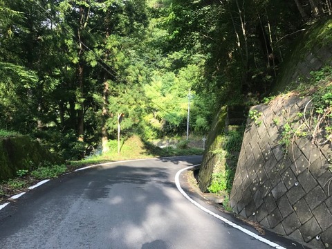 林道御岳線を下って南西へ