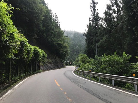 151は国道だけあって気持ちよく走りやすい道