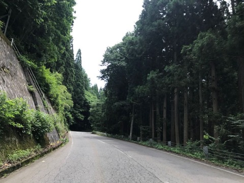 県道112号は万座道路。白根山方面へ