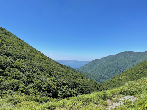 IMG_3291