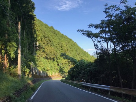 国道473号は大井川沿いに蛇行しながらゆるやかに登って行く道