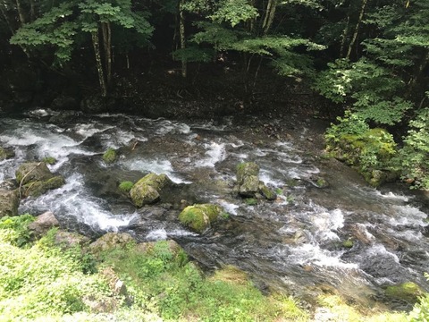 水浴びツーリングしたい
