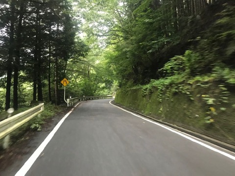 県道219号は超快走路