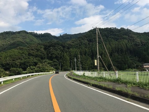 国道はリッチで走りやすいものの、浜松の山手に直線はほとんどなし