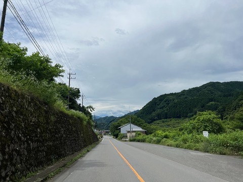 IMG_8551