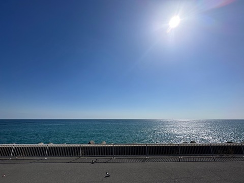 IMG_0490