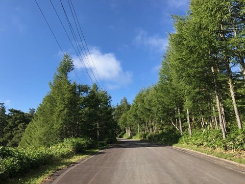 蓼科スカイラインの尾根筋は別荘地が点在