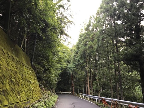 県道はそのまま60号と合流し、井川湖へのラストスパート