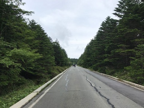 麦草峠の交通量多すぎ問題