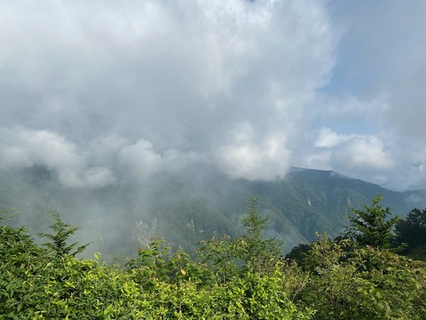 IMG_6662