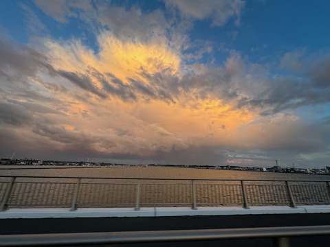 IMG_3552