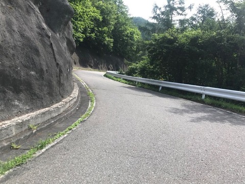 県道124号でぶどう峠を登る