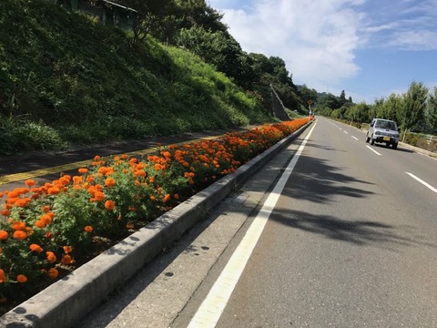 高遠の中心部には綺麗な花壇