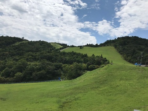 ゲレンデの芝生が青々としている