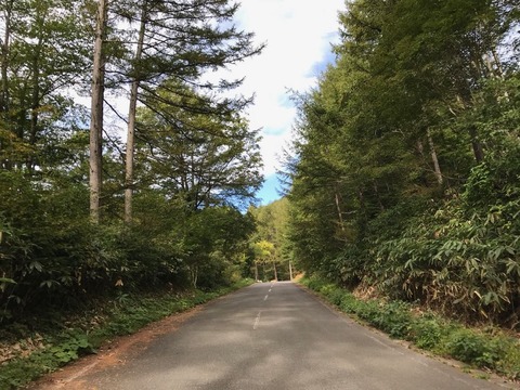 野麦峠へアプローチ