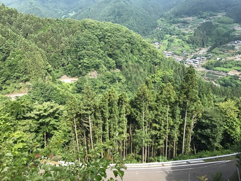 塩沢峠から秋畑に降りる手前の連続ヘアピンの頂上から一枚