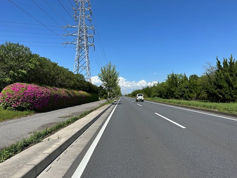 東京湾岸散歩ルート