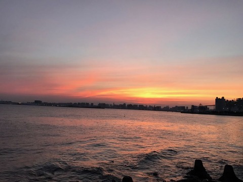 若洲海浜公園 東京ゲートブリッジ